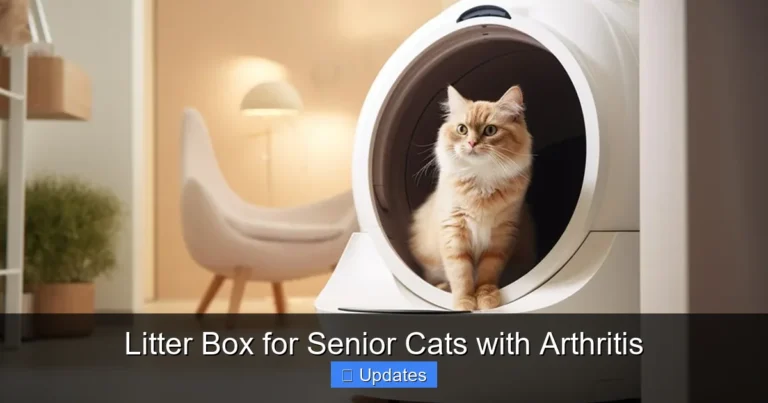 Litter Box for Senior Cats with Arthritis