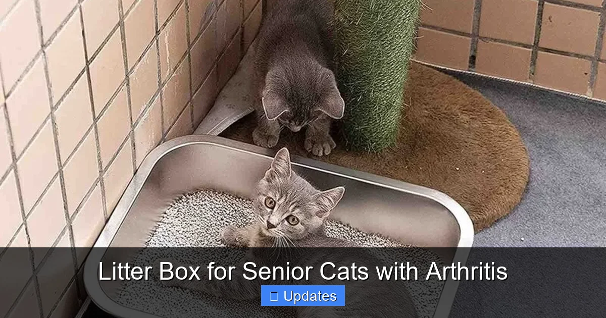 Litter Box for Senior Cats with Arthritis - SeniorsProTalk