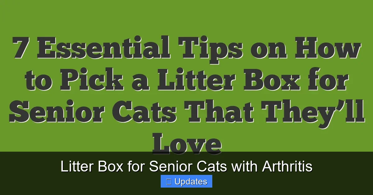 Litter Box for Senior Cats with Arthritis - SeniorsProTalk