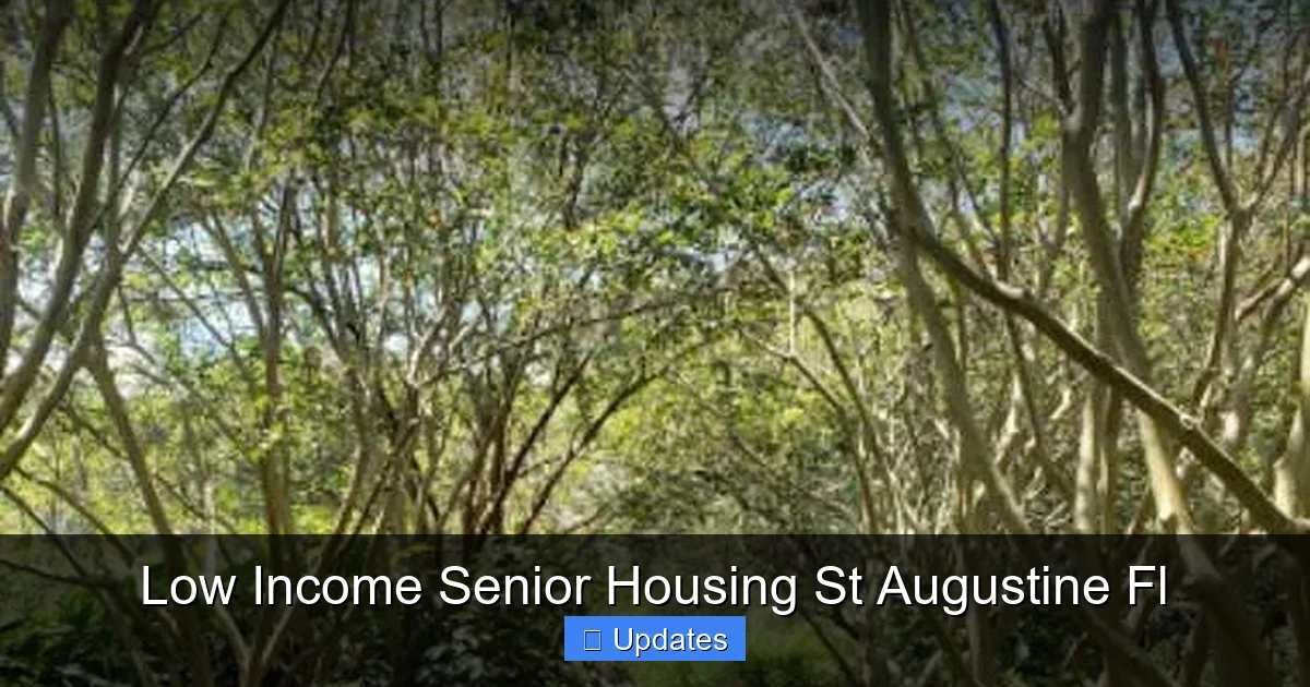 Low Income Senior Housing St Augustine Fl