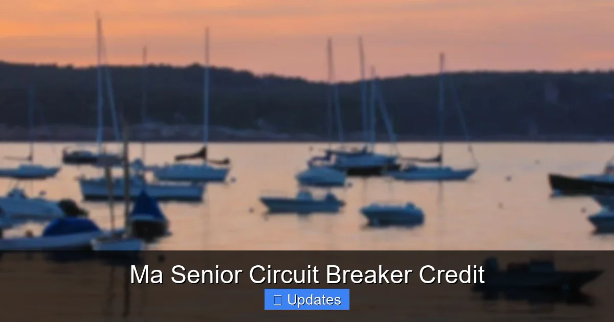 Ma Senior Circuit Breaker Credit