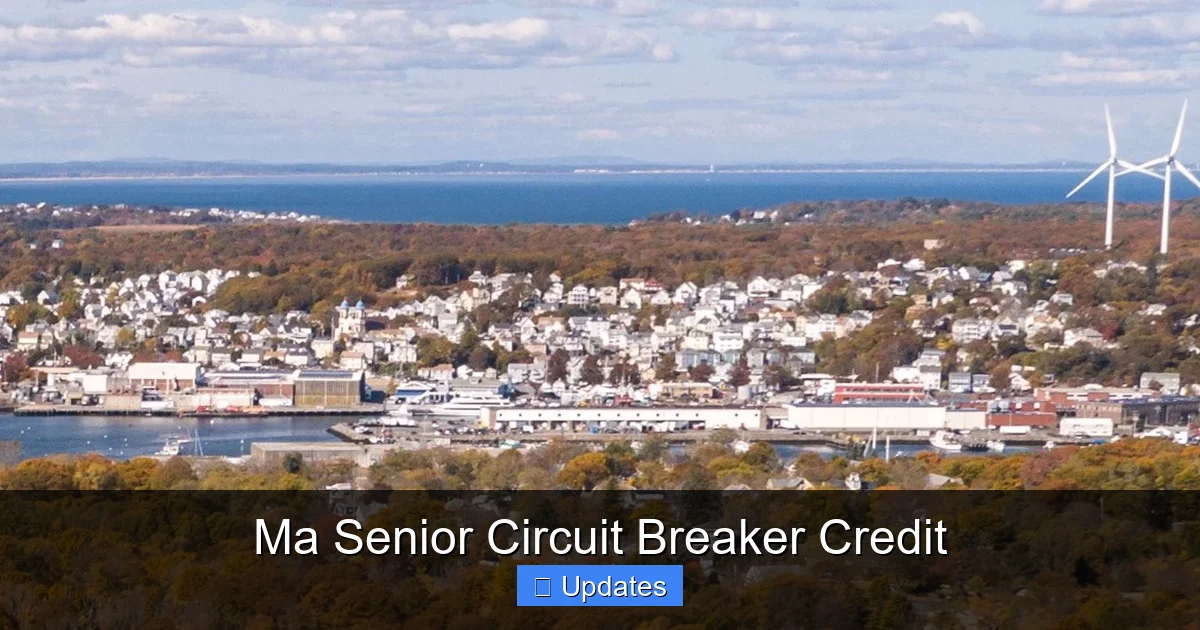 Ma Senior Circuit Breaker Credit
