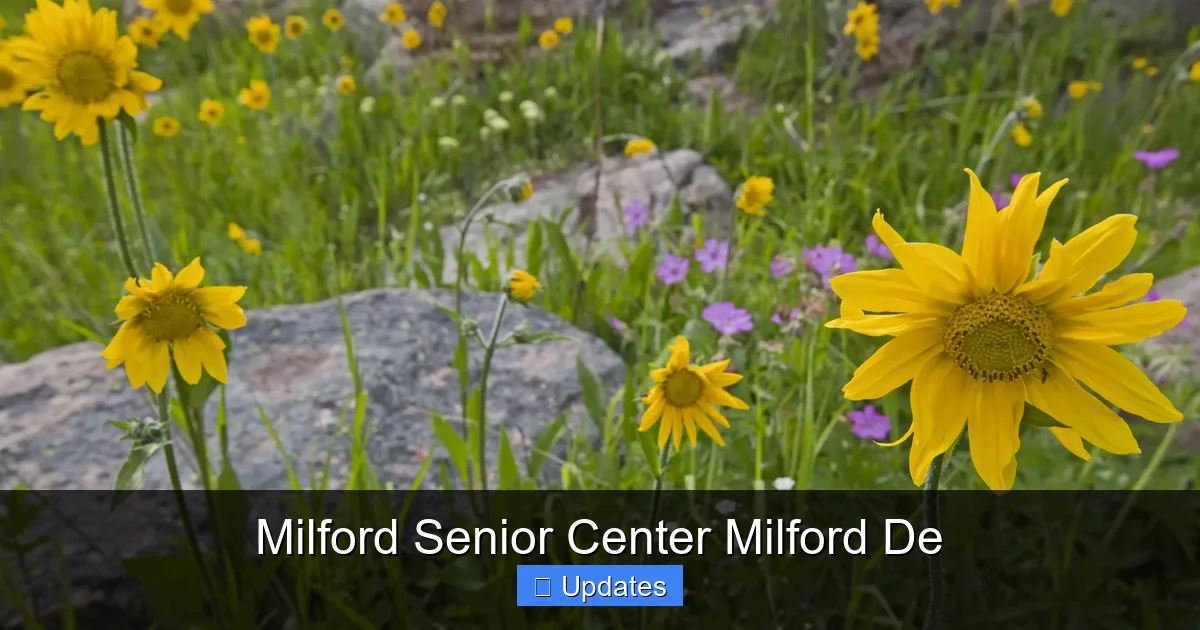 Milford Senior Center Milford De