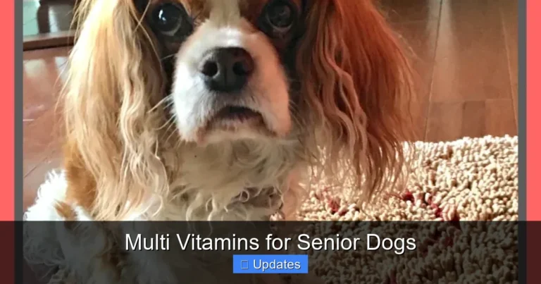 Multi Vitamins for Senior Dogs