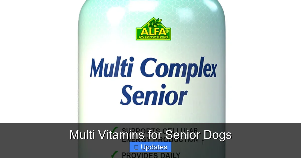 Multi Vitamins for Senior Dogs