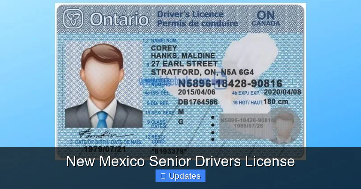 New Mexico Senior Drivers License