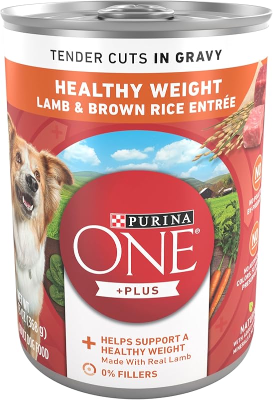 Purina ONE Plus Tender Cuts Wet Dog Food, Lamb & Brown Rice in Gravy, 
