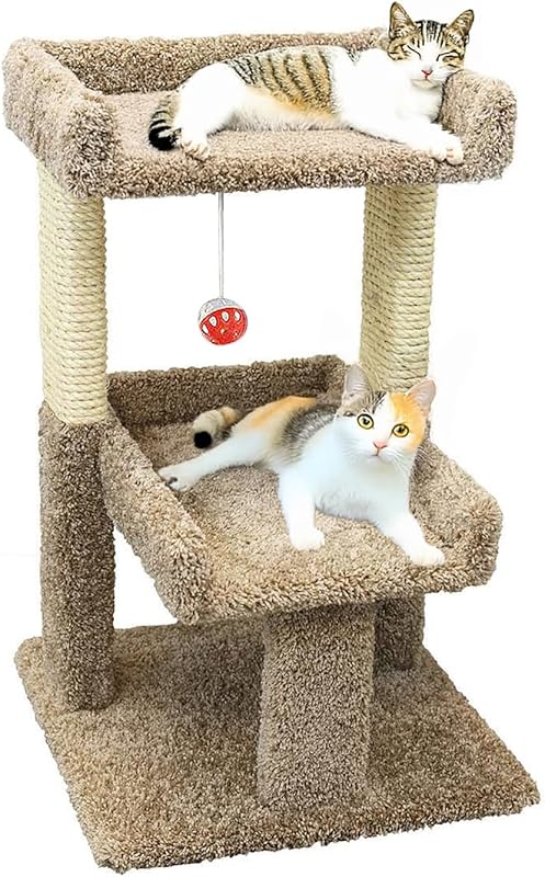 Large Cat Play Perch Condo for Indoor Adult Cats