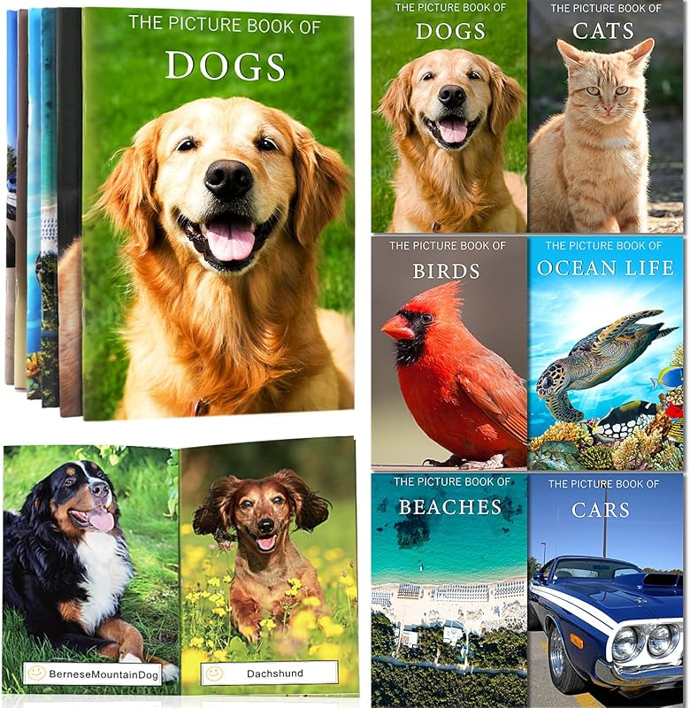 6-Pack Picture Book Set for Seniors with Dementia, Alzheimer's Patient