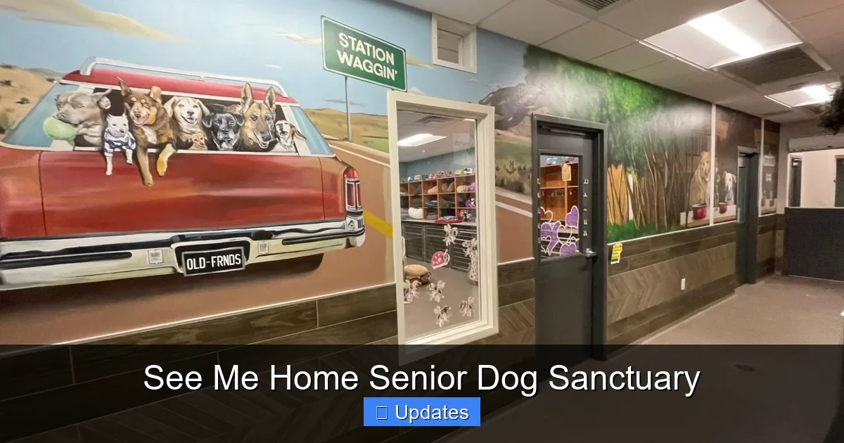 See Me Home Senior Dog Sanctuary
