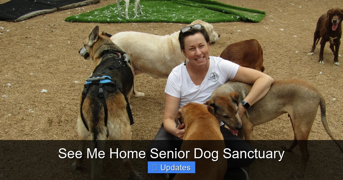 See Me Home Senior Dog Sanctuary