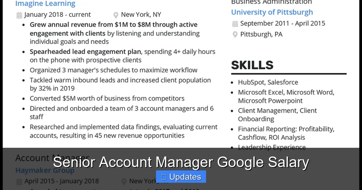 Googlewage Senior Account Manager Google Salary - SeniorsProTalk
