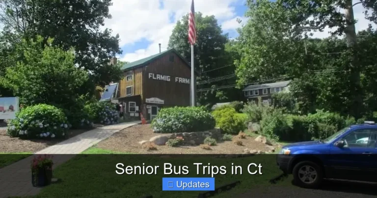 Senior Bus Trips in Ct