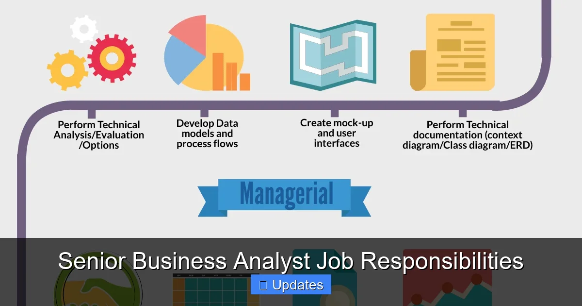 Senior Business Analyst Job Responsibilities