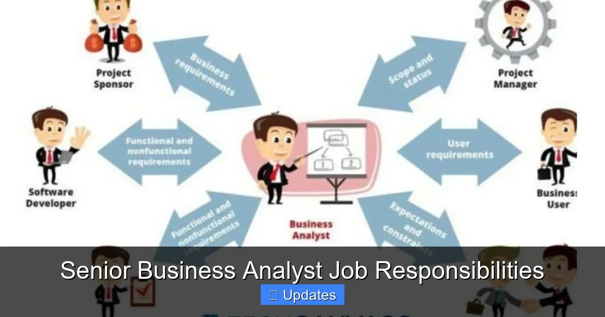 Senior Business Analyst Job Responsibilities