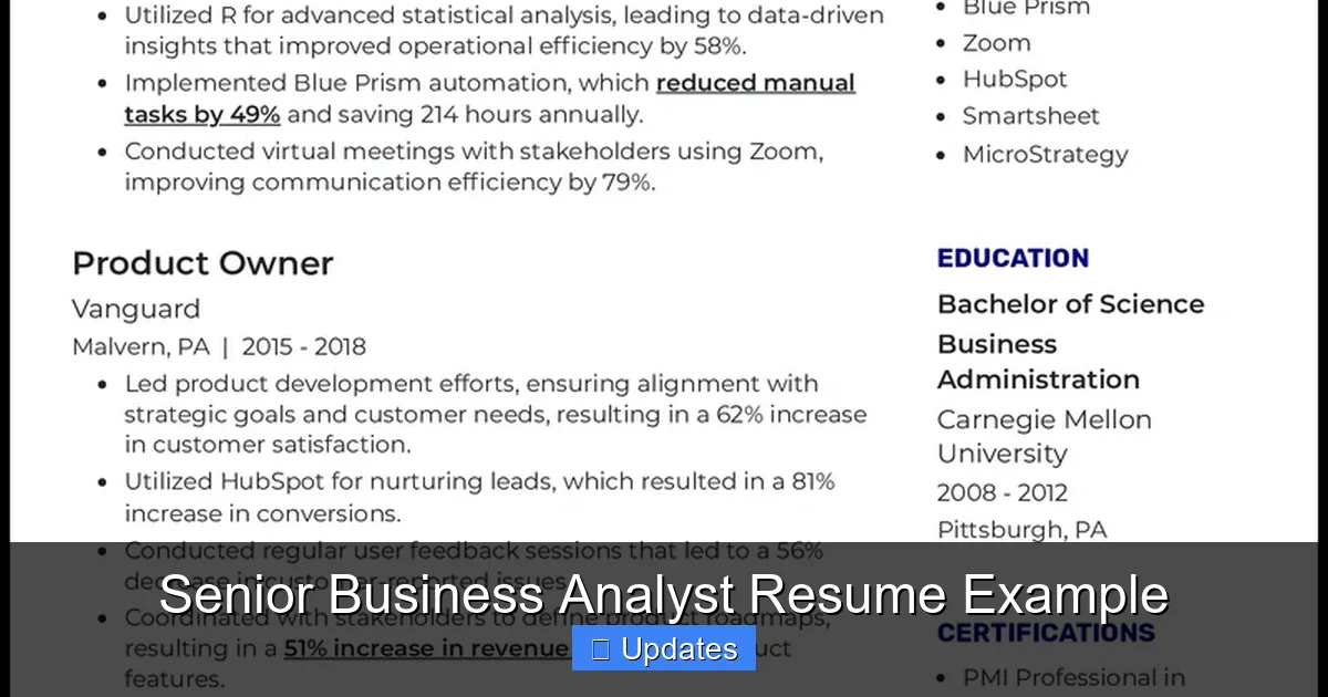 Senior Business Analyst Resume Example