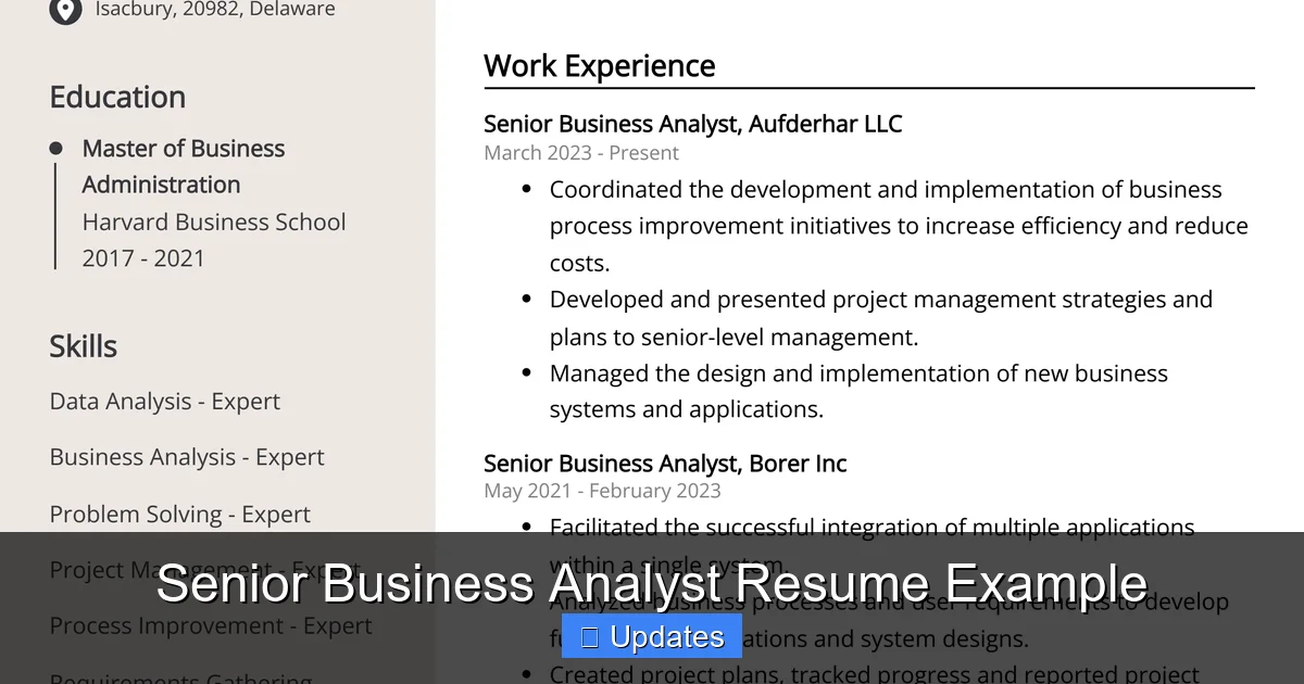 Senior Business Analyst Resume Example