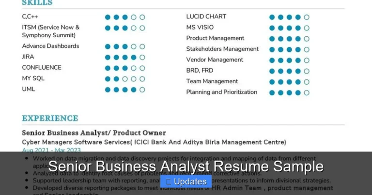 Senior Business Analyst Resume Sample