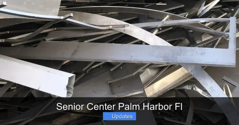 Senior Center Palm Harbor Fl