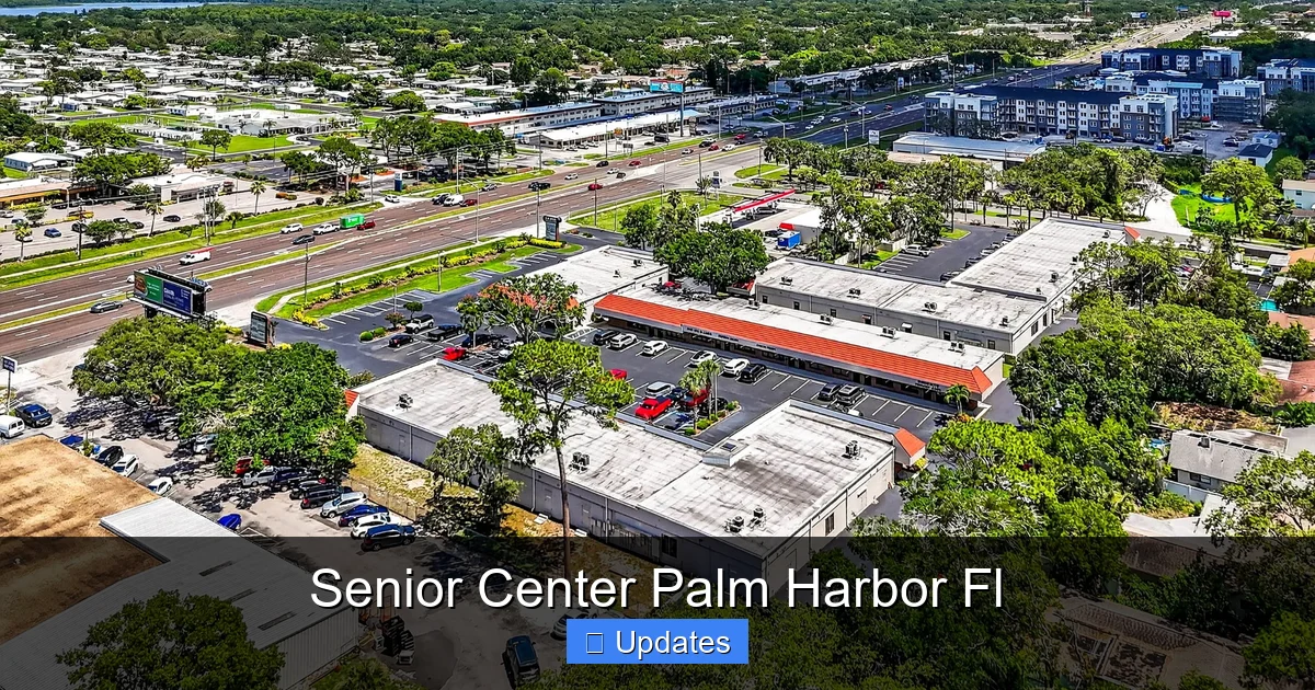 Senior Center Palm Harbor Fl