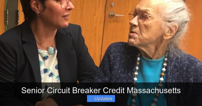 Senior Circuit Breaker Credit Massachusetts