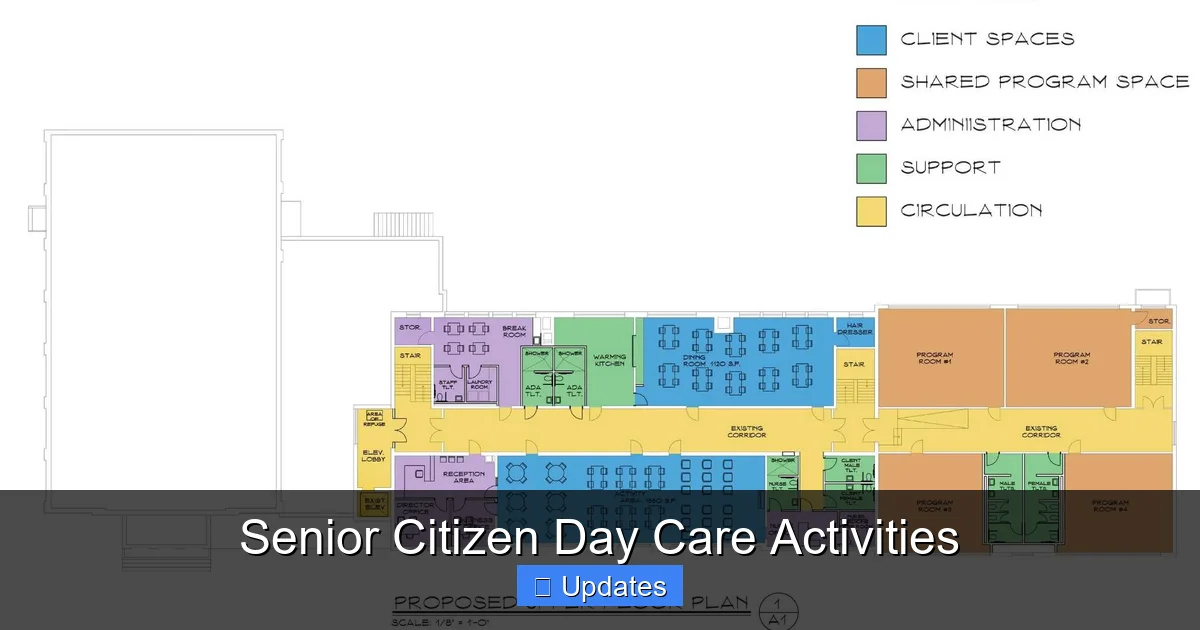 Senior Citizen Day Care Activities