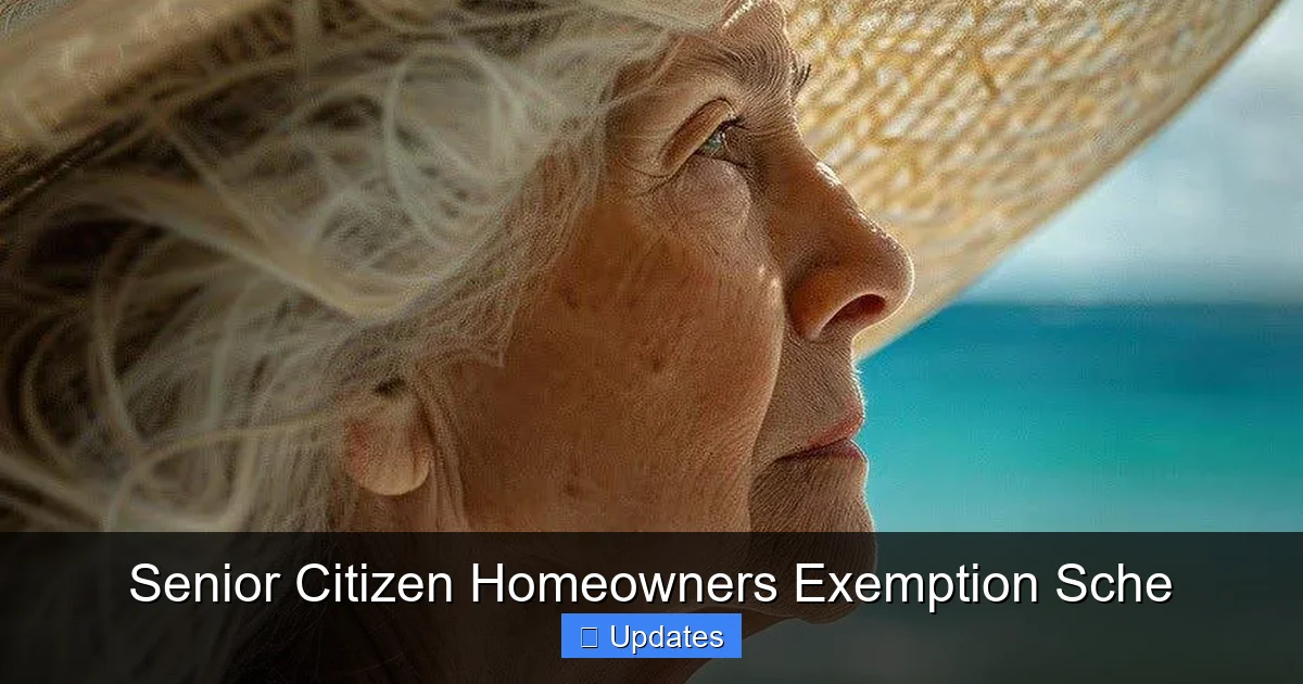 Senior Citizen Homeowners Exemption Sche