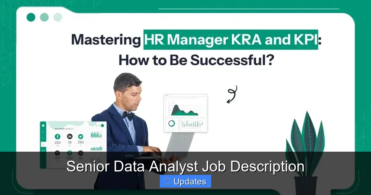 Senior Data Analyst Job Description