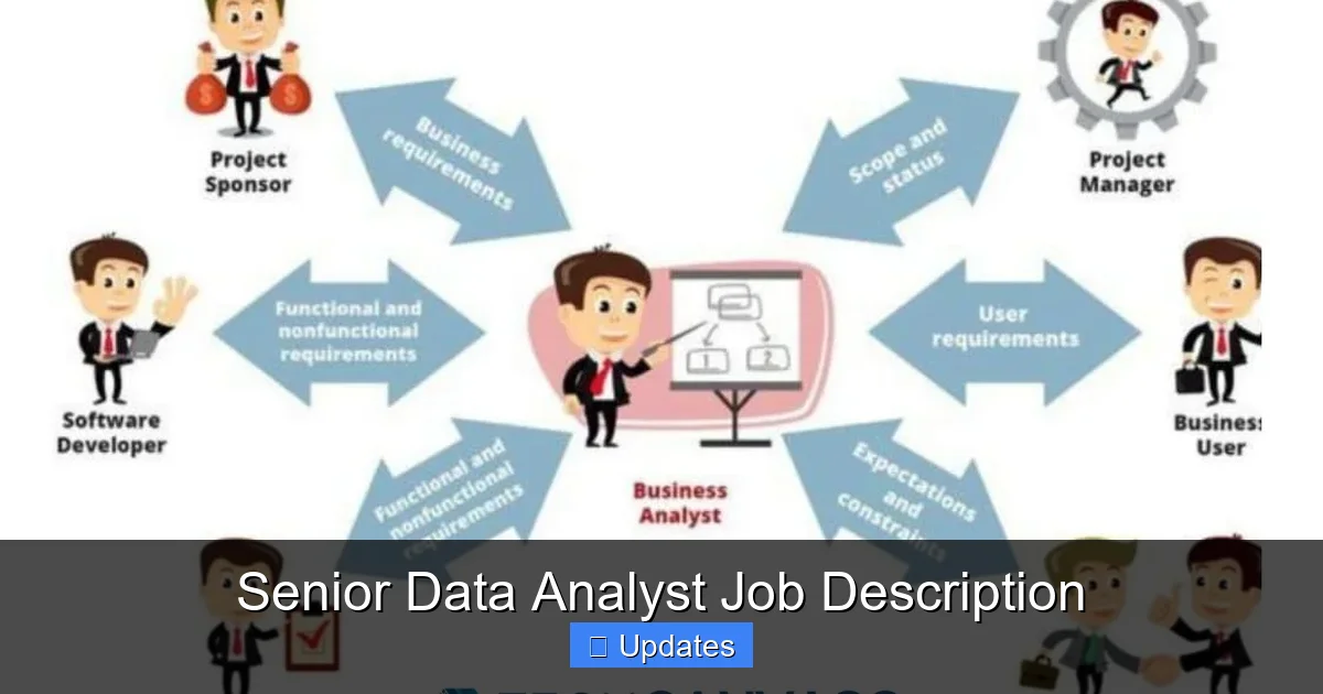Senior Data Analyst Job Description