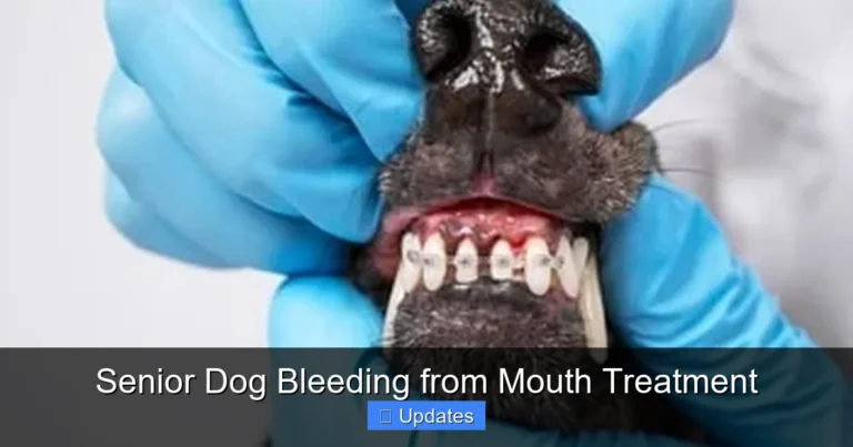 Senior Dog Bleeding from Mouth Treatment