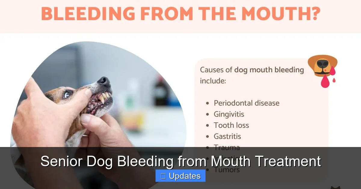 Senior Dog Bleeding from Mouth Treatment