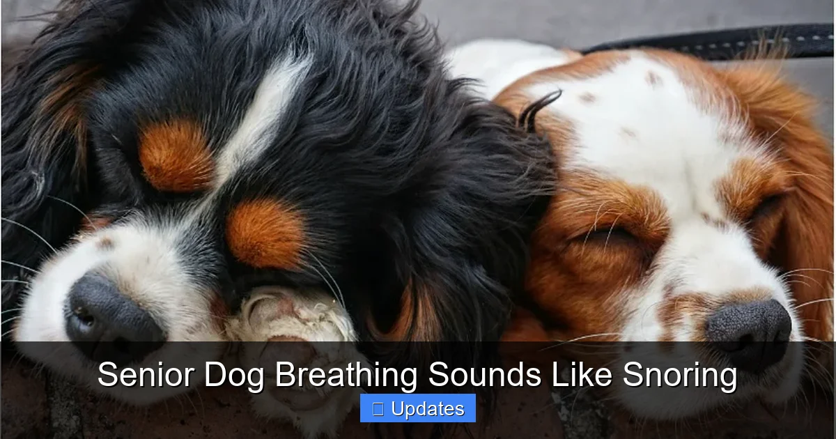 Senior Dog Breathing Sounds Like Snoring