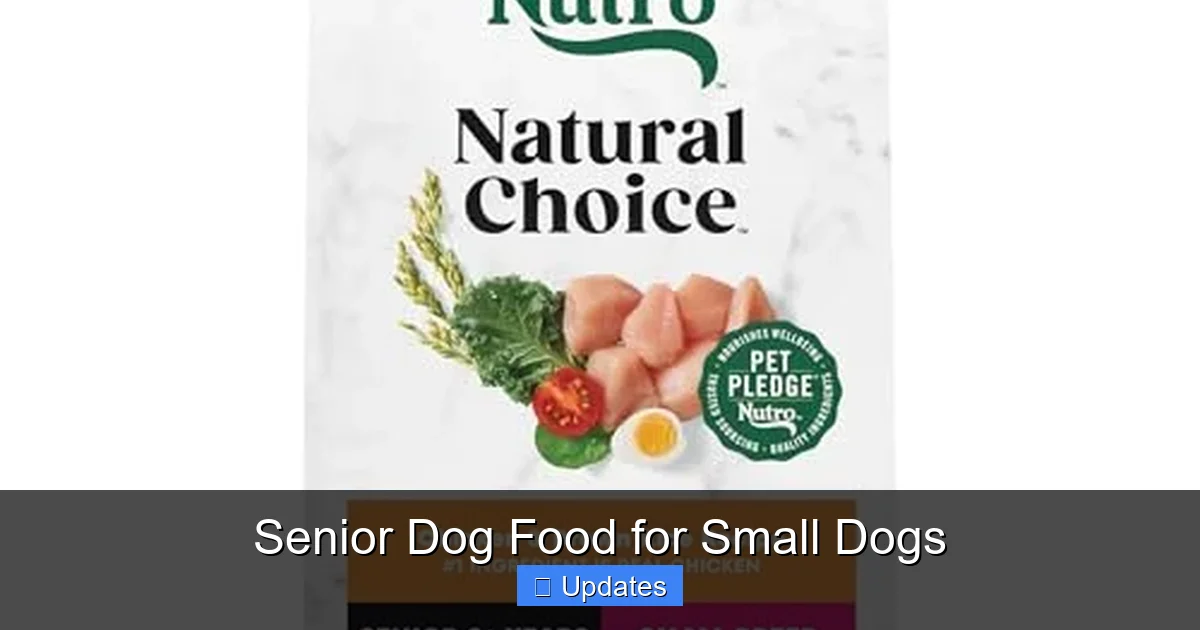 Senior Dog Food for Small Dogs