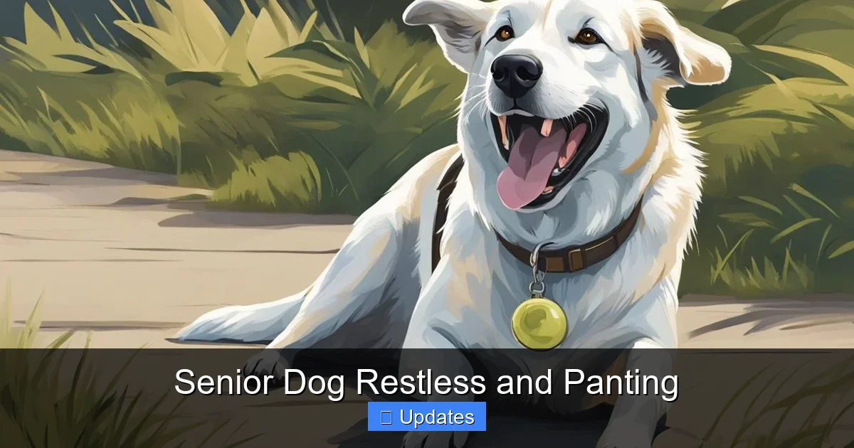 Senior Dog Restless and Panting