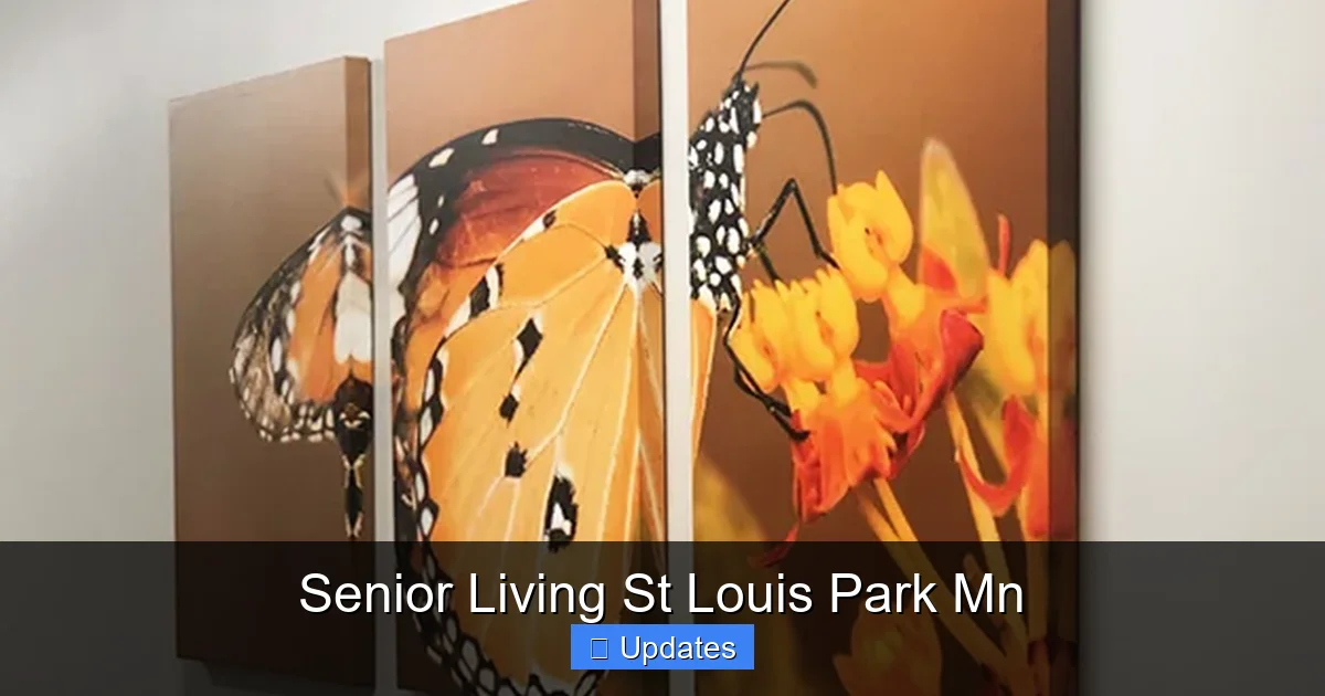 Senior Living St Louis Park Mn