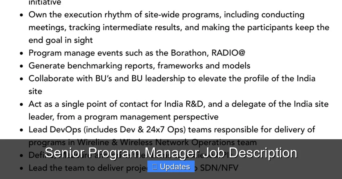 Senior Program Manager Job Description