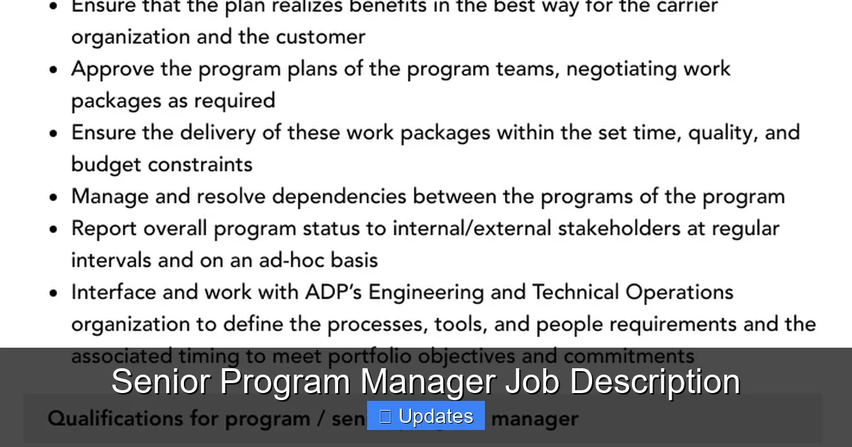 Senior Program Manager Job Description