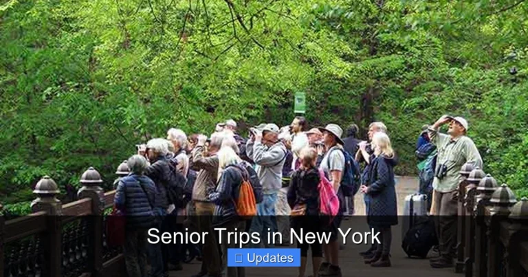Senior Trips in New York