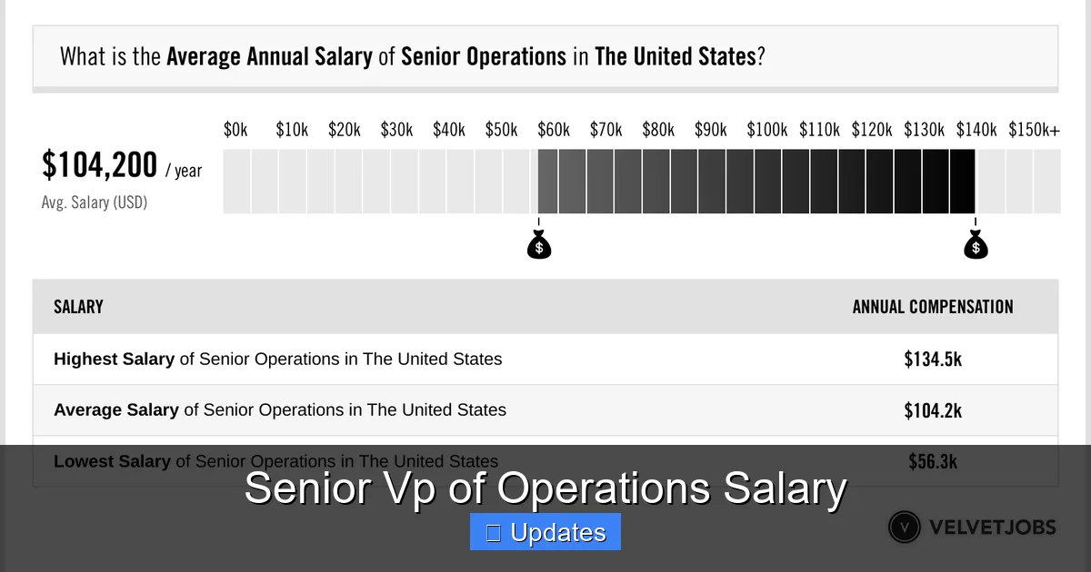 Senior Vp of Operations Salary