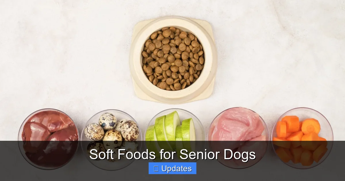 Soft Foods for Senior Dogs