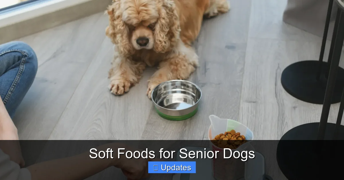 Soft Foods for Senior Dogs