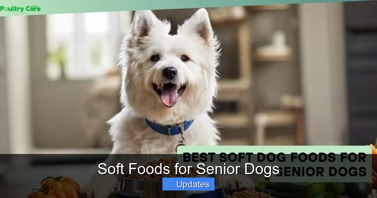 Soft Foods for Senior Dogs