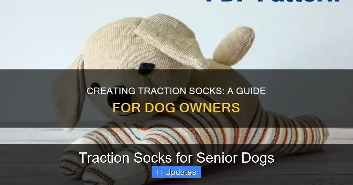 Traction Socks for Senior Dogs