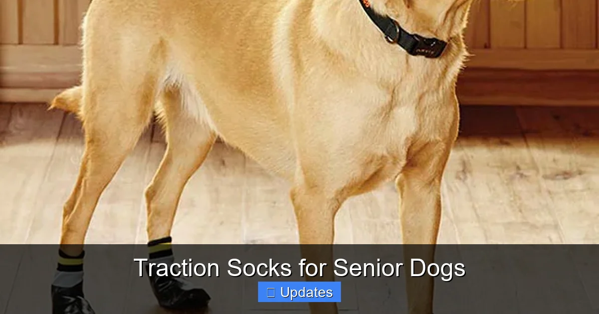 Traction Socks for Senior Dogs