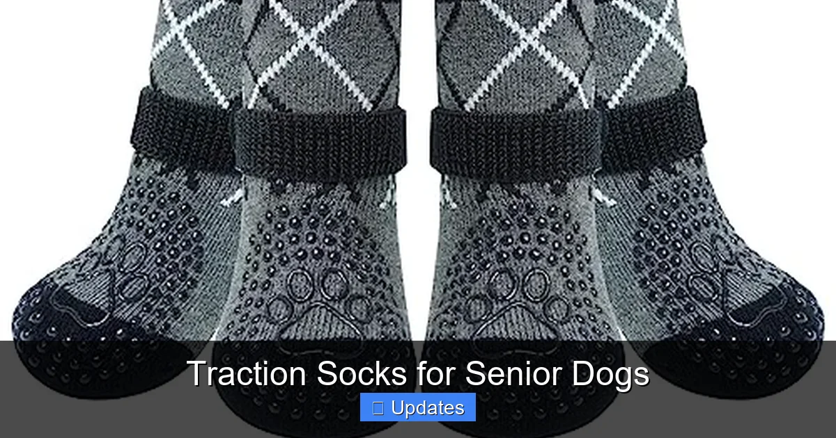 Traction Socks for Senior Dogs