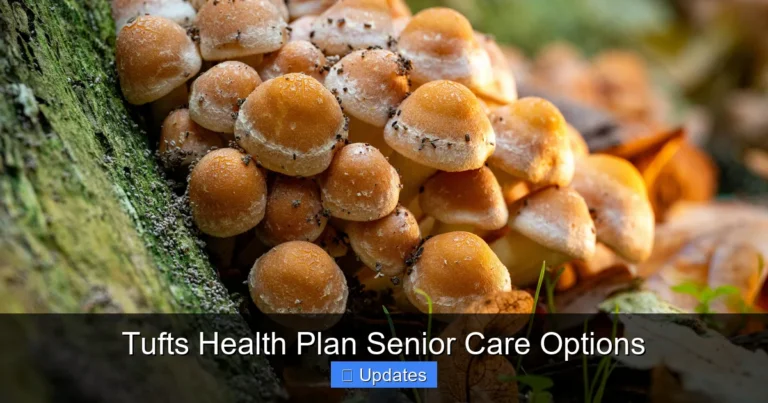 Tufts Health Plan Senior Care Options