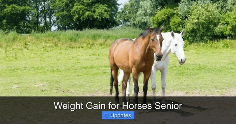 Weight Gain for Horses Senior