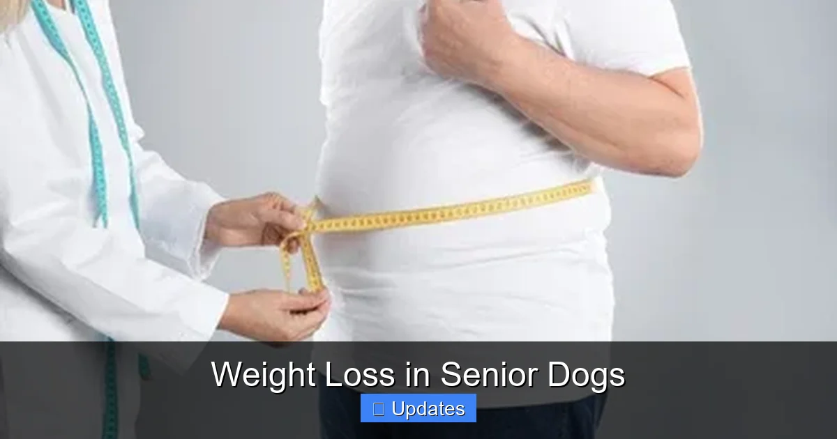 Weight Loss in Senior Dogs