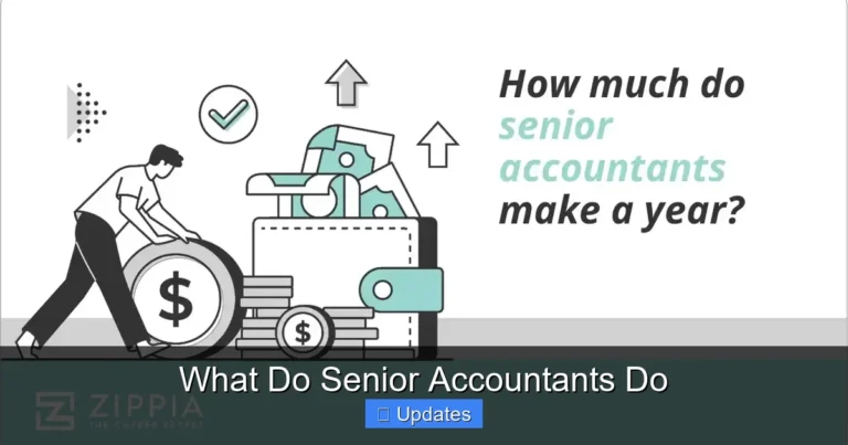 What Do Senior Accountants Do