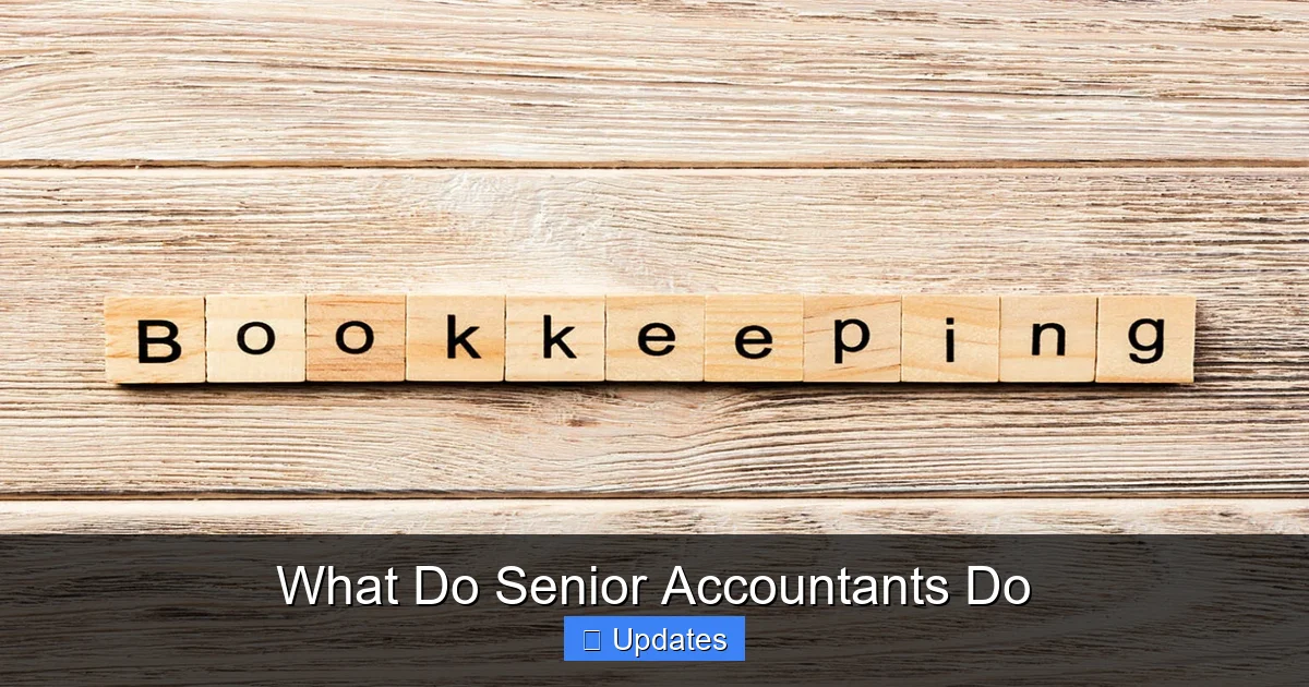 What Do Senior Accountants Do